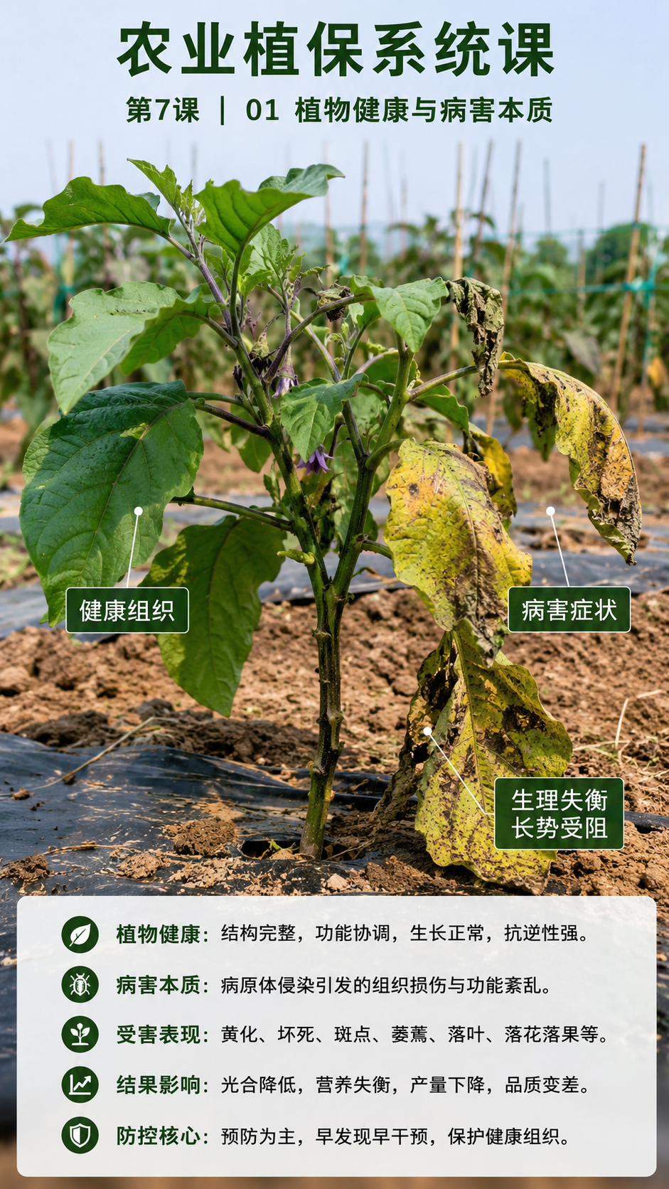 华昇金玛植保系统课第7课植物健康与病害本质第1张原图