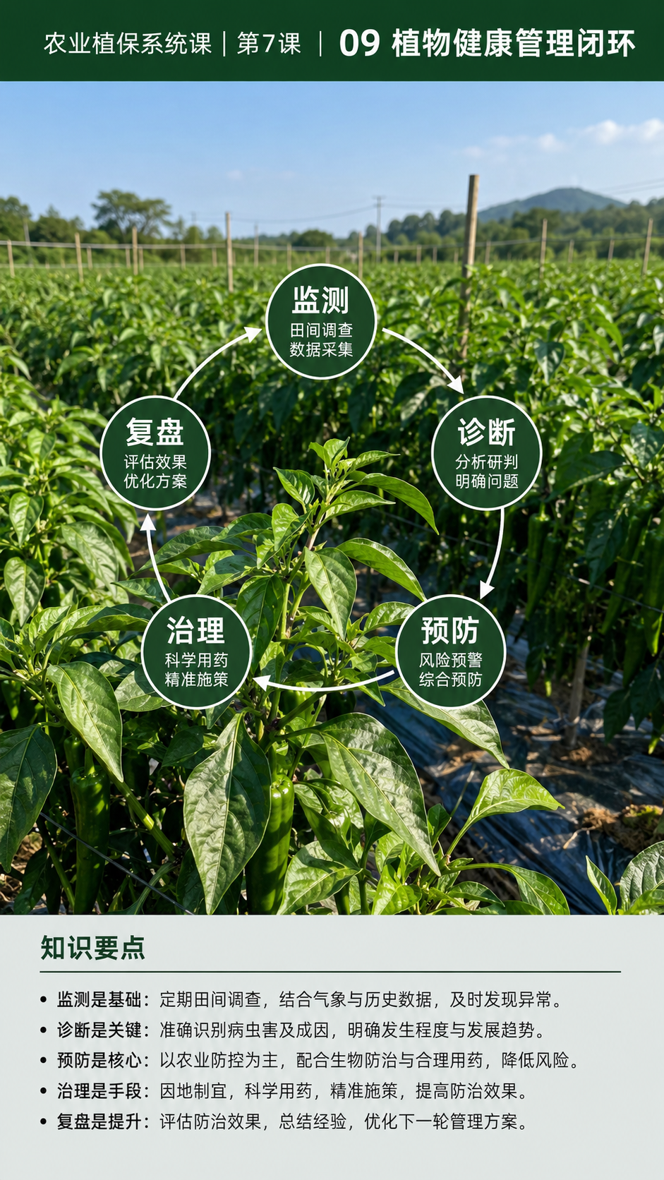 华昇金玛植保系统课第7课植物健康与病害本质第9张原图