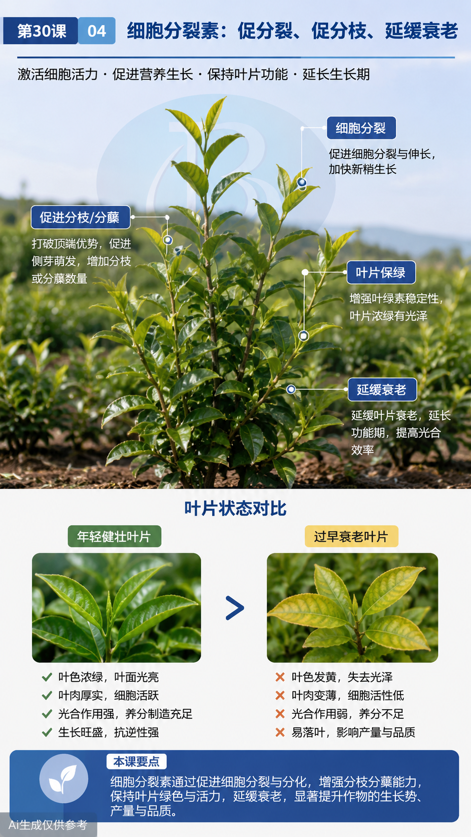 华昇金玛植保系统课第30课植物激素与生长调节第4张原图