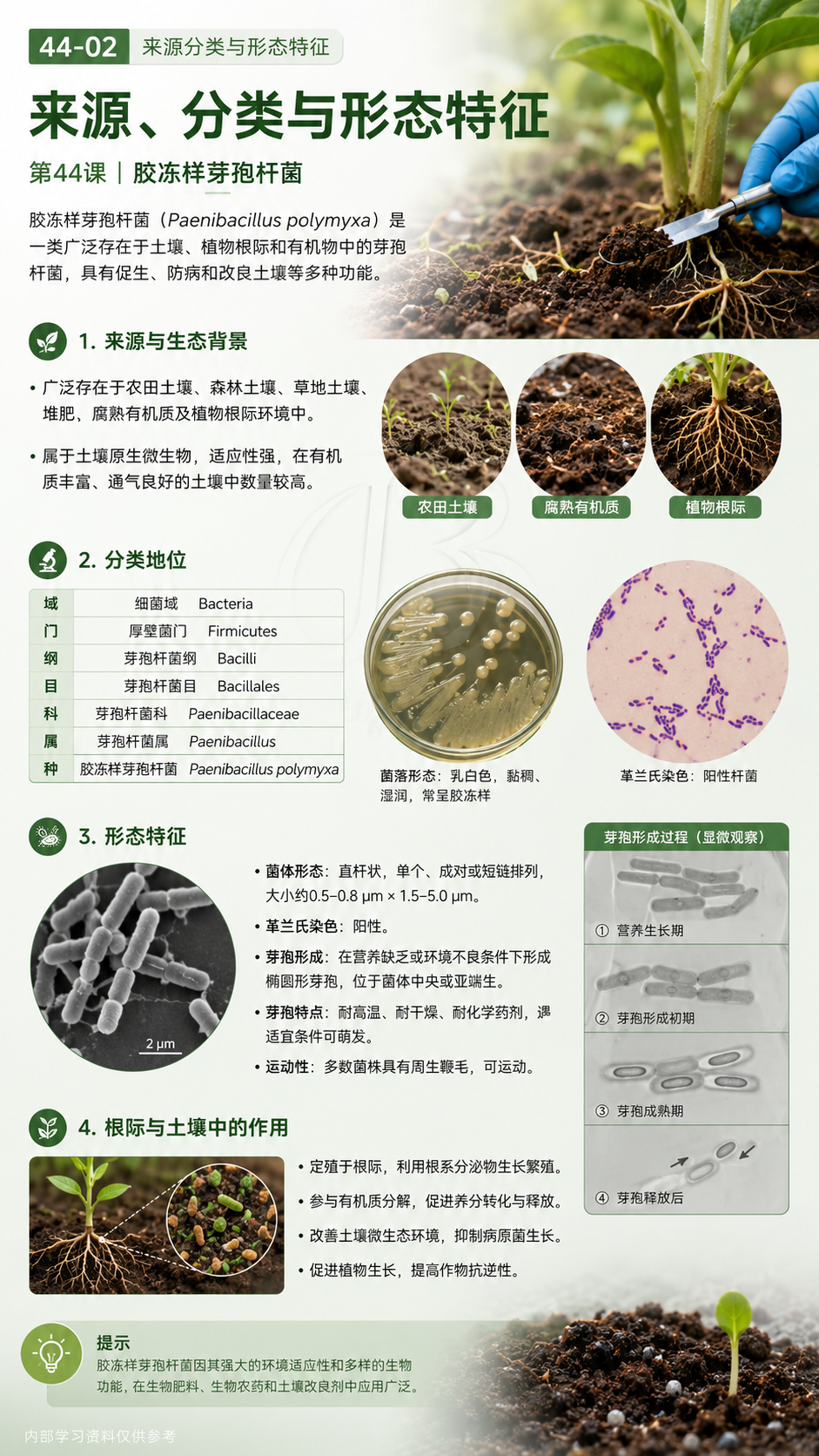 华昇金玛植保系统课第44课胶冻样芽孢杆菌第2张原图