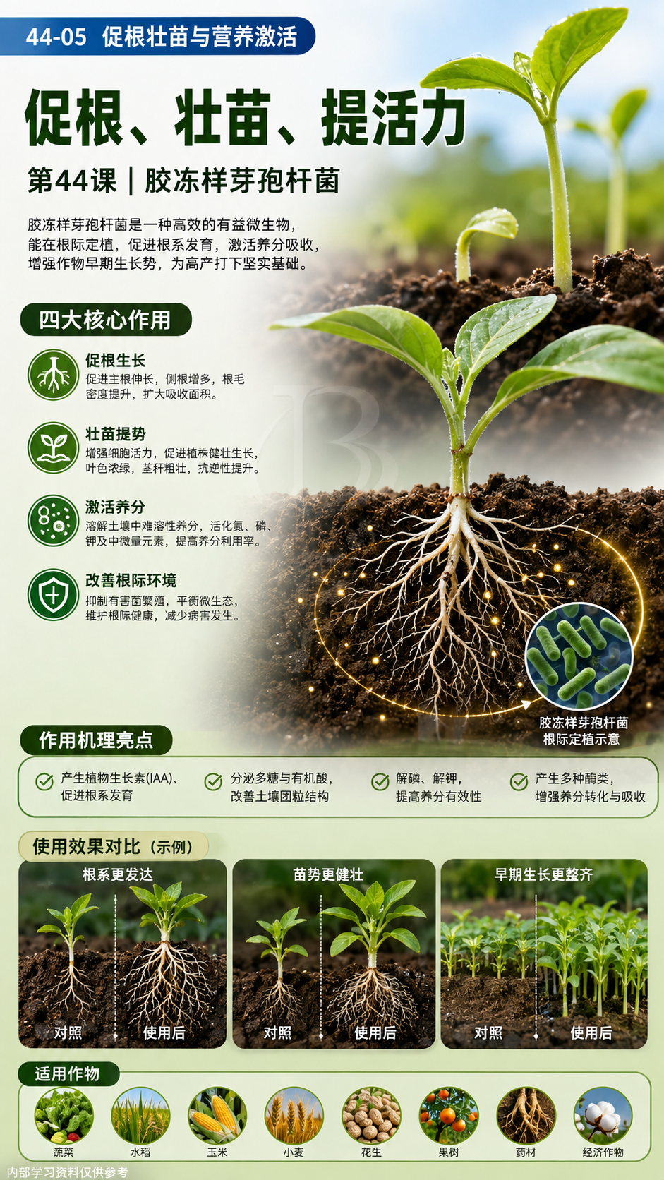 华昇金玛植保系统课第44课胶冻样芽孢杆菌第5张原图