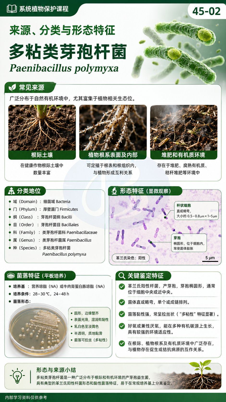 华昇金玛植保系统课第45课多粘类芽孢杆菌第2张原图