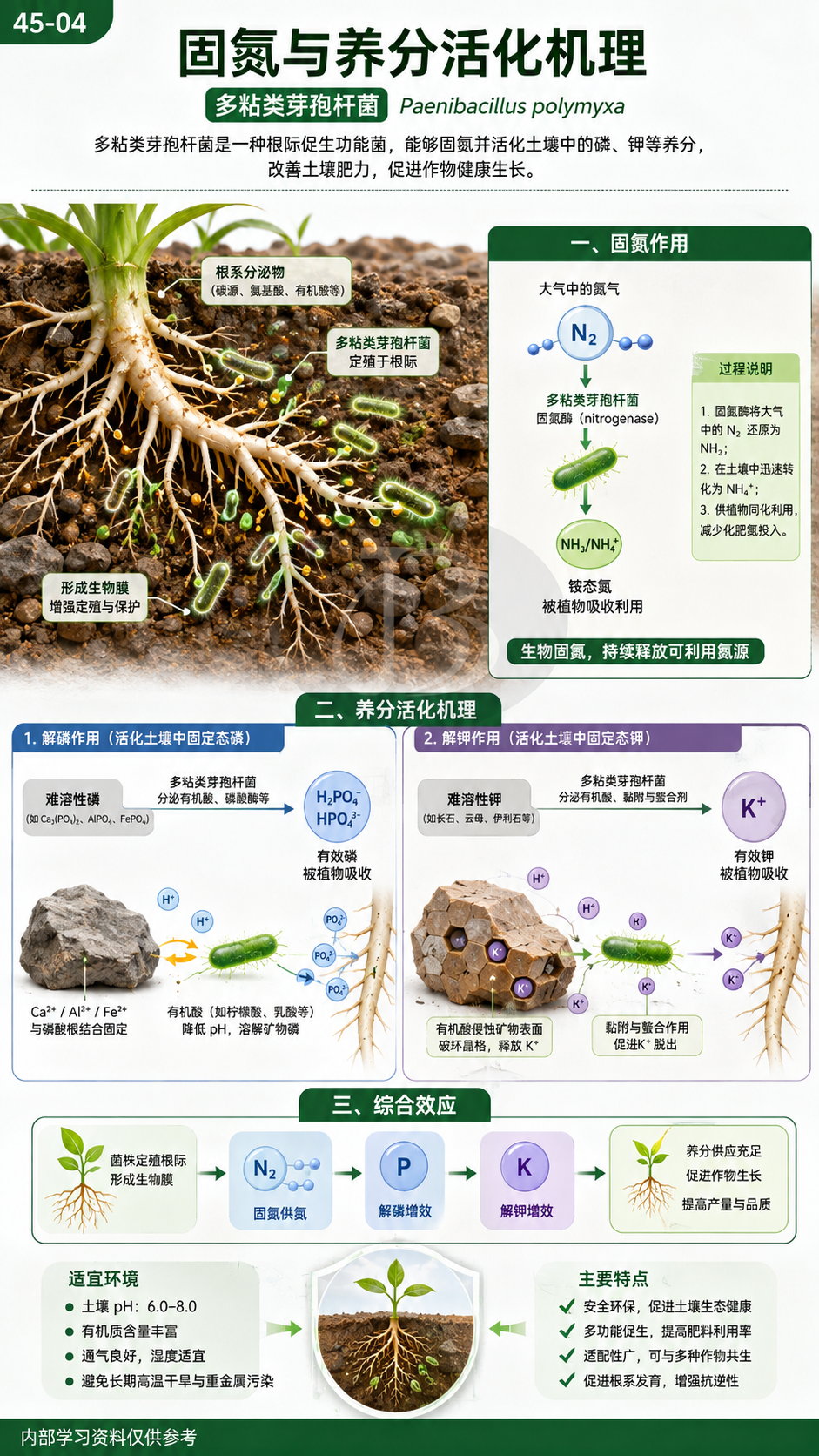 华昇金玛植保系统课第45课多粘类芽孢杆菌第4张原图