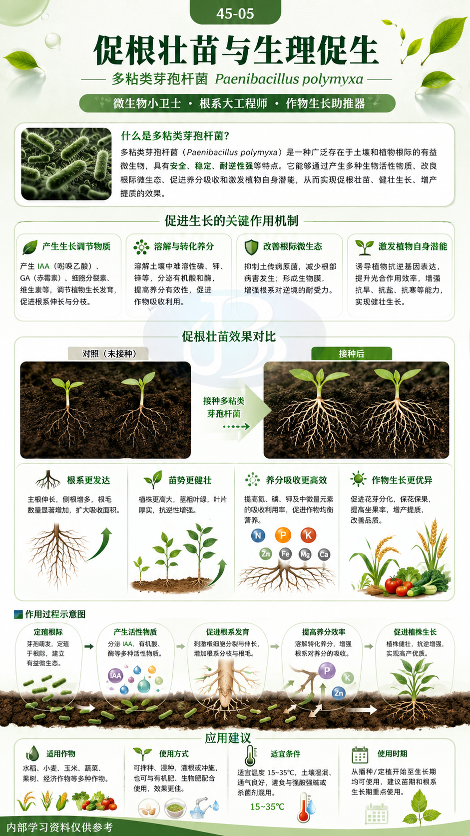 华昇金玛植保系统课第45课多粘类芽孢杆菌第5张原图