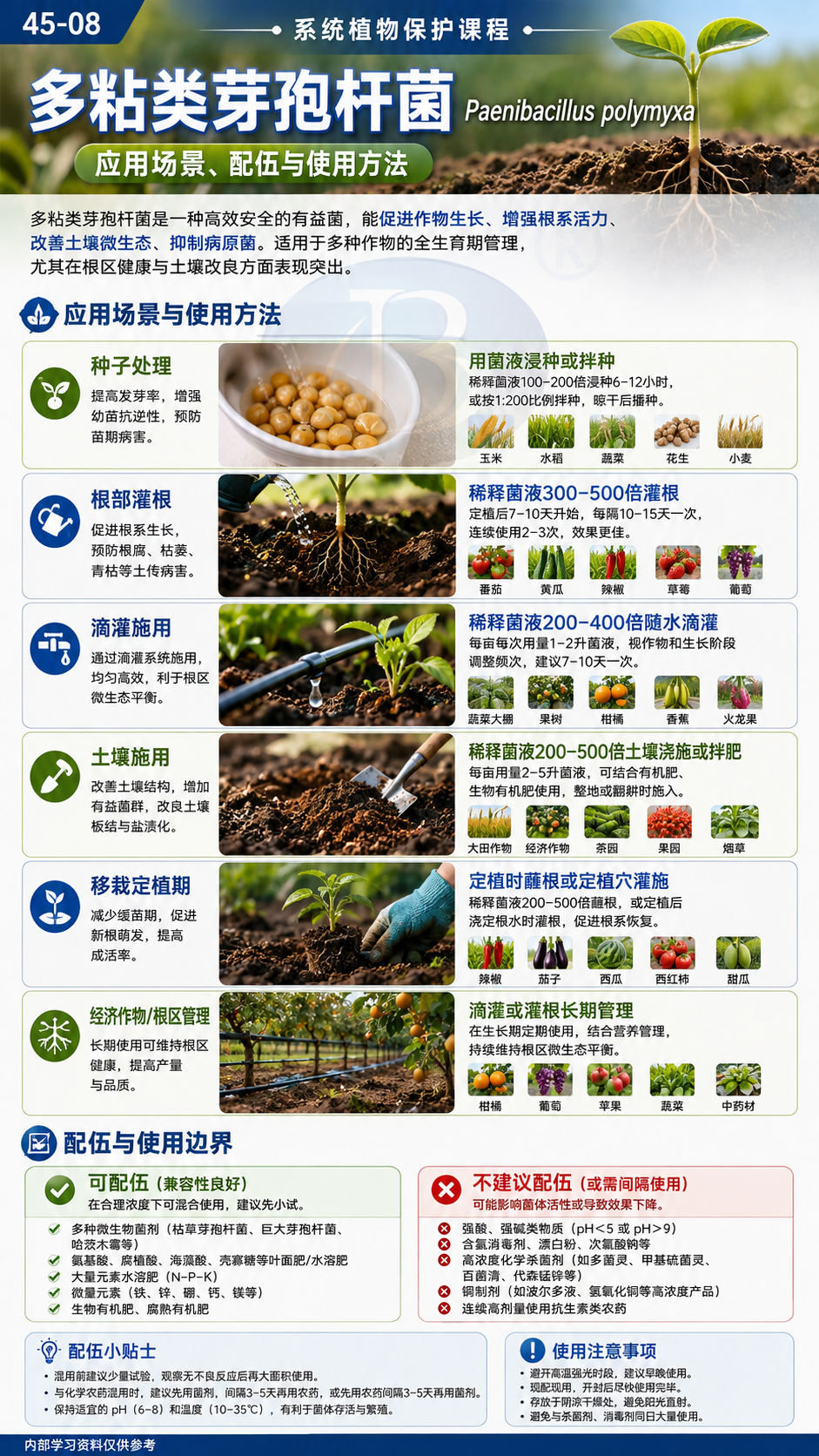 华昇金玛植保系统课第45课多粘类芽孢杆菌第8张原图