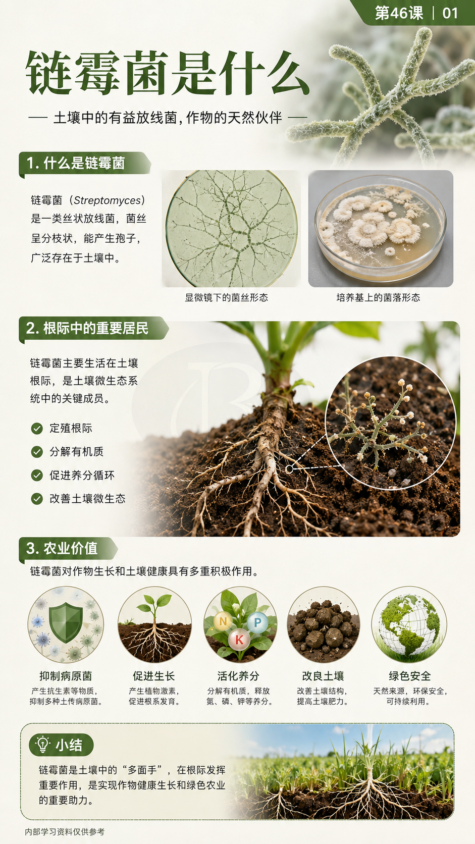 华昇金玛第46课链霉菌原课件第1页：链霉菌的农业价值
