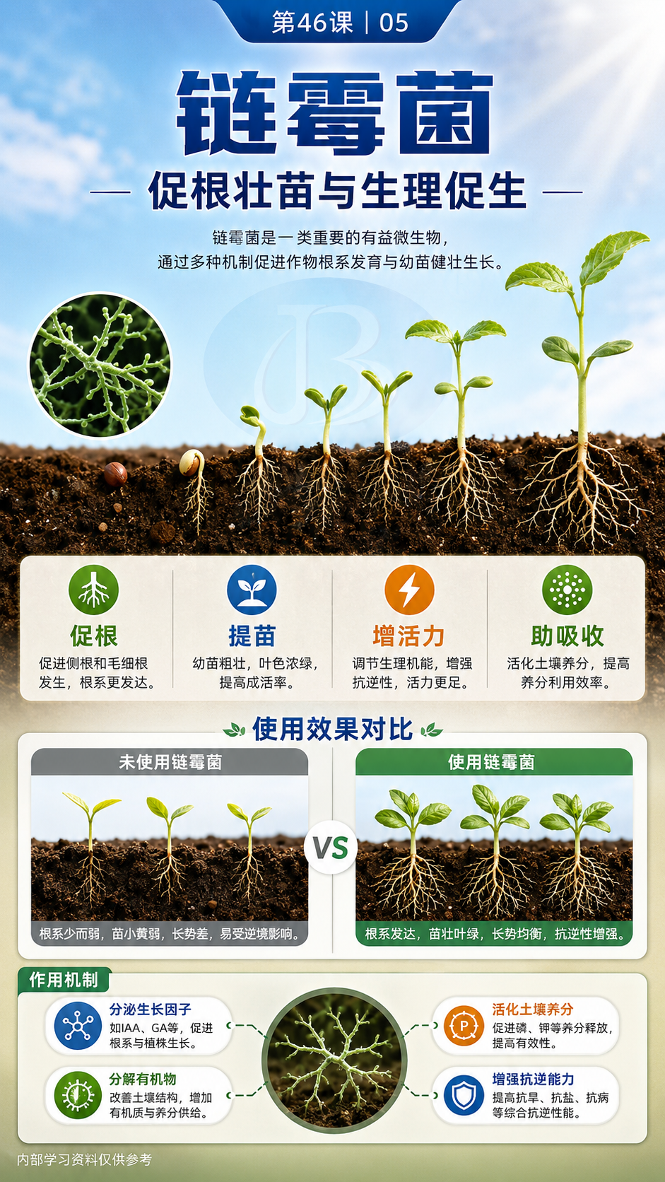 华昇金玛第46课链霉菌原图，图内第5页：促根与营养利用