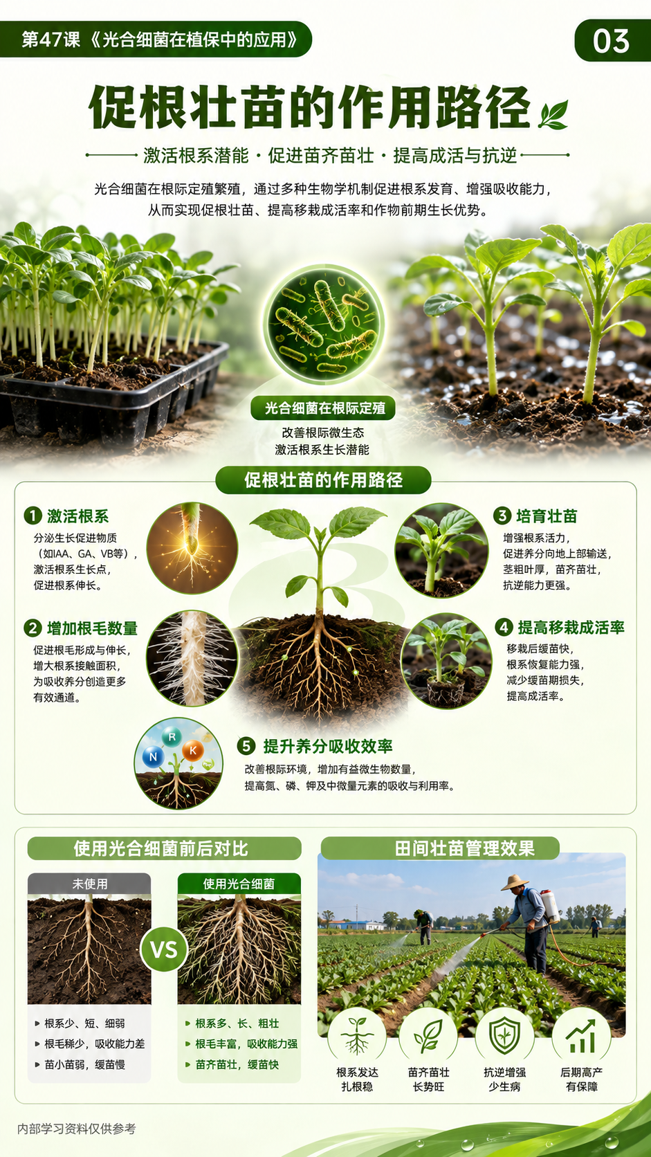 华昇金玛植保系统课第47课光合细菌第3张原图