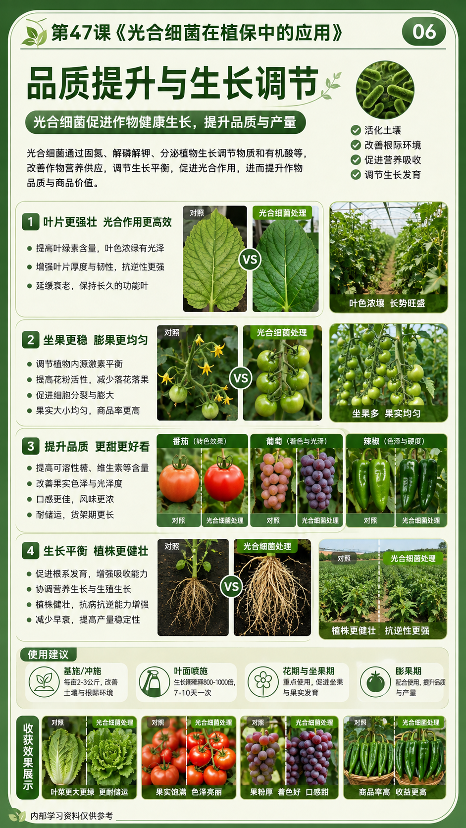 华昇金玛植保系统课第47课光合细菌第6张原图