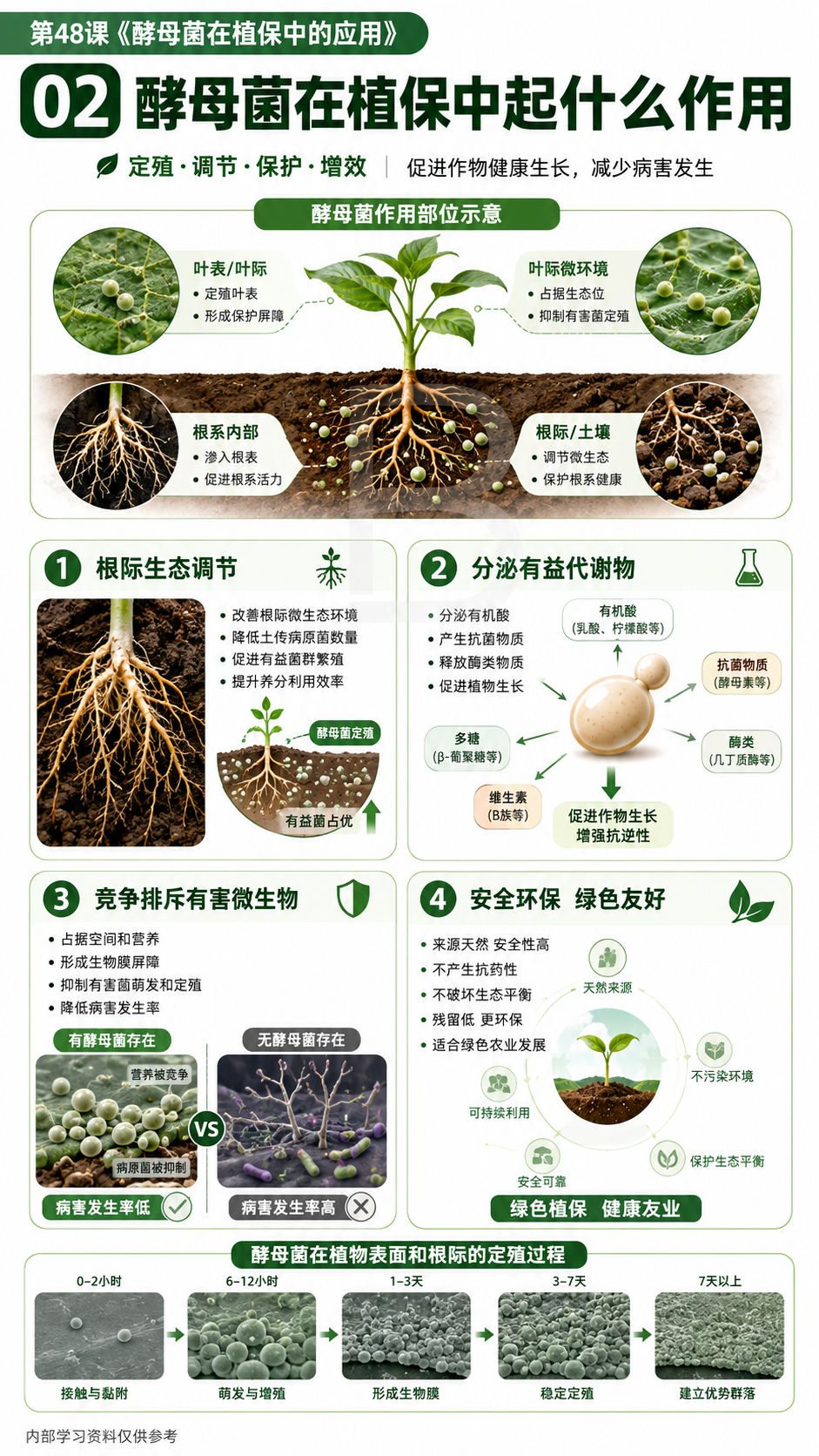 华昇金玛植保系统课第48课酵母菌与发酵产物第2张原图