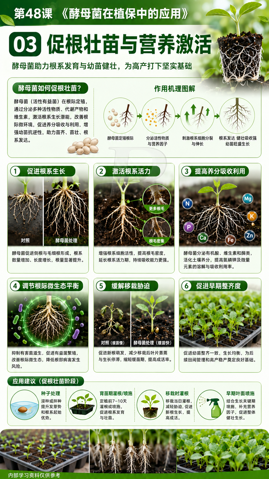 华昇金玛植保系统课第48课酵母菌与发酵产物第3张原图