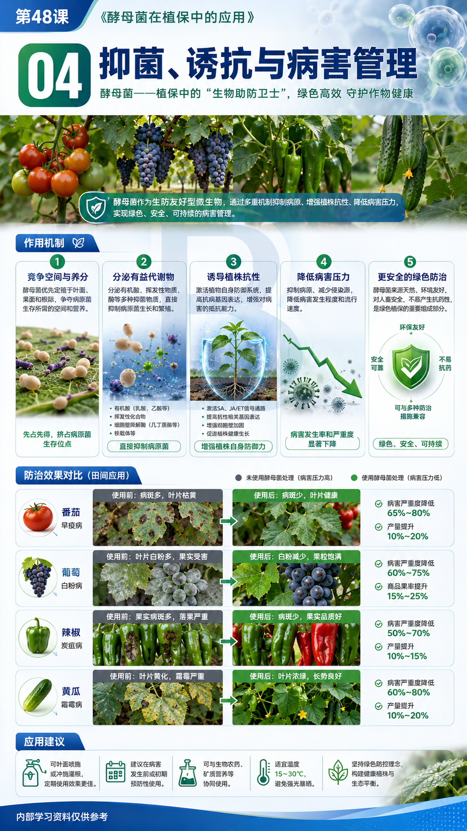华昇金玛植保系统课第48课酵母菌与发酵产物第4张原图