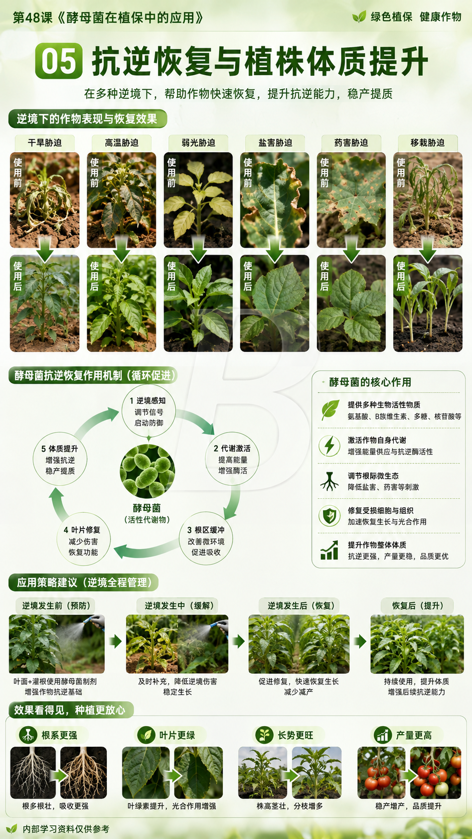 华昇金玛植保系统课第48课酵母菌与发酵产物第5张原图