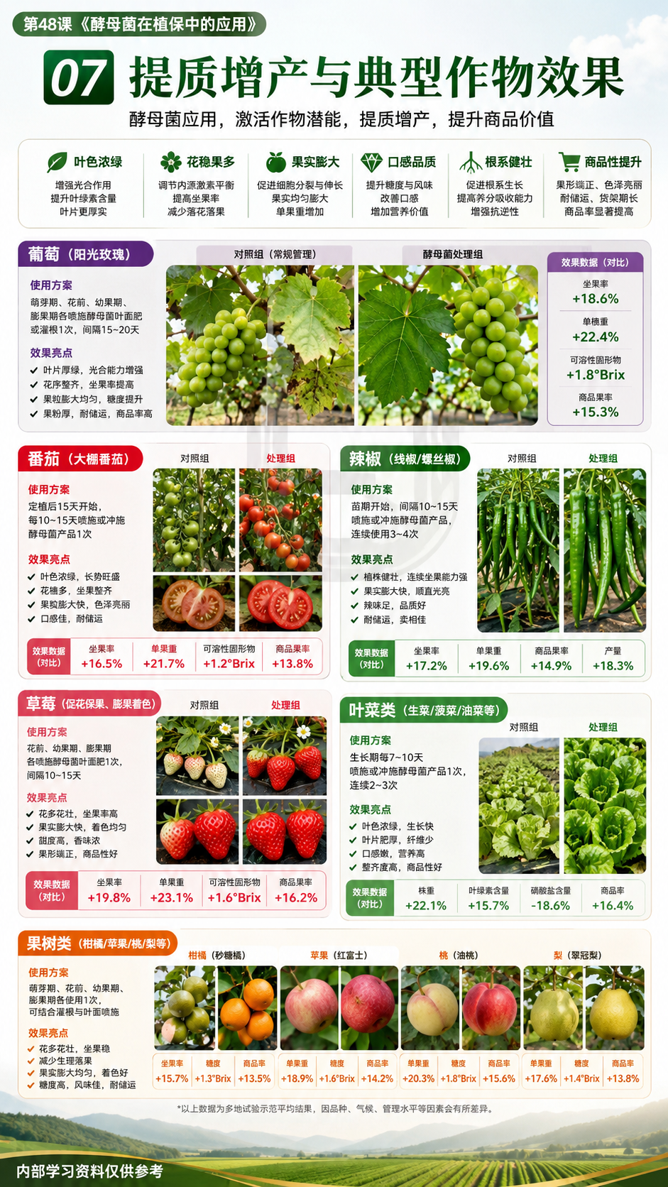 华昇金玛植保系统课第48课酵母菌与发酵产物第7张原图