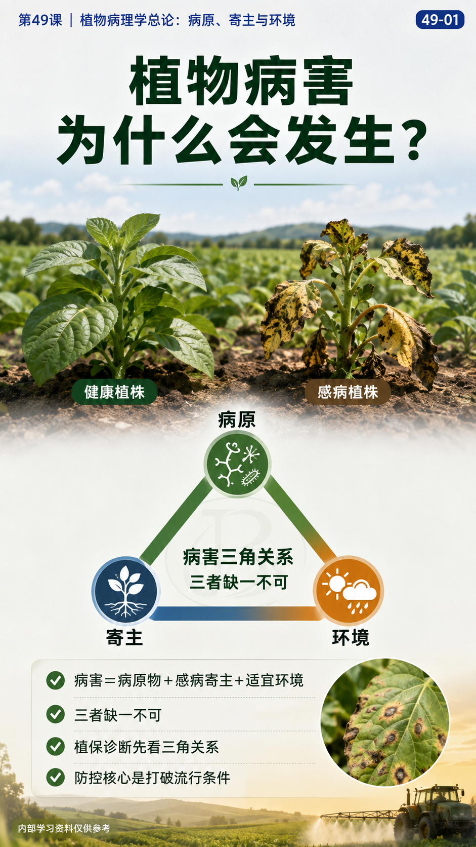 华昇金玛第49课植物病理学总论原图，图内49-01：病害三角：病原、寄主与环境