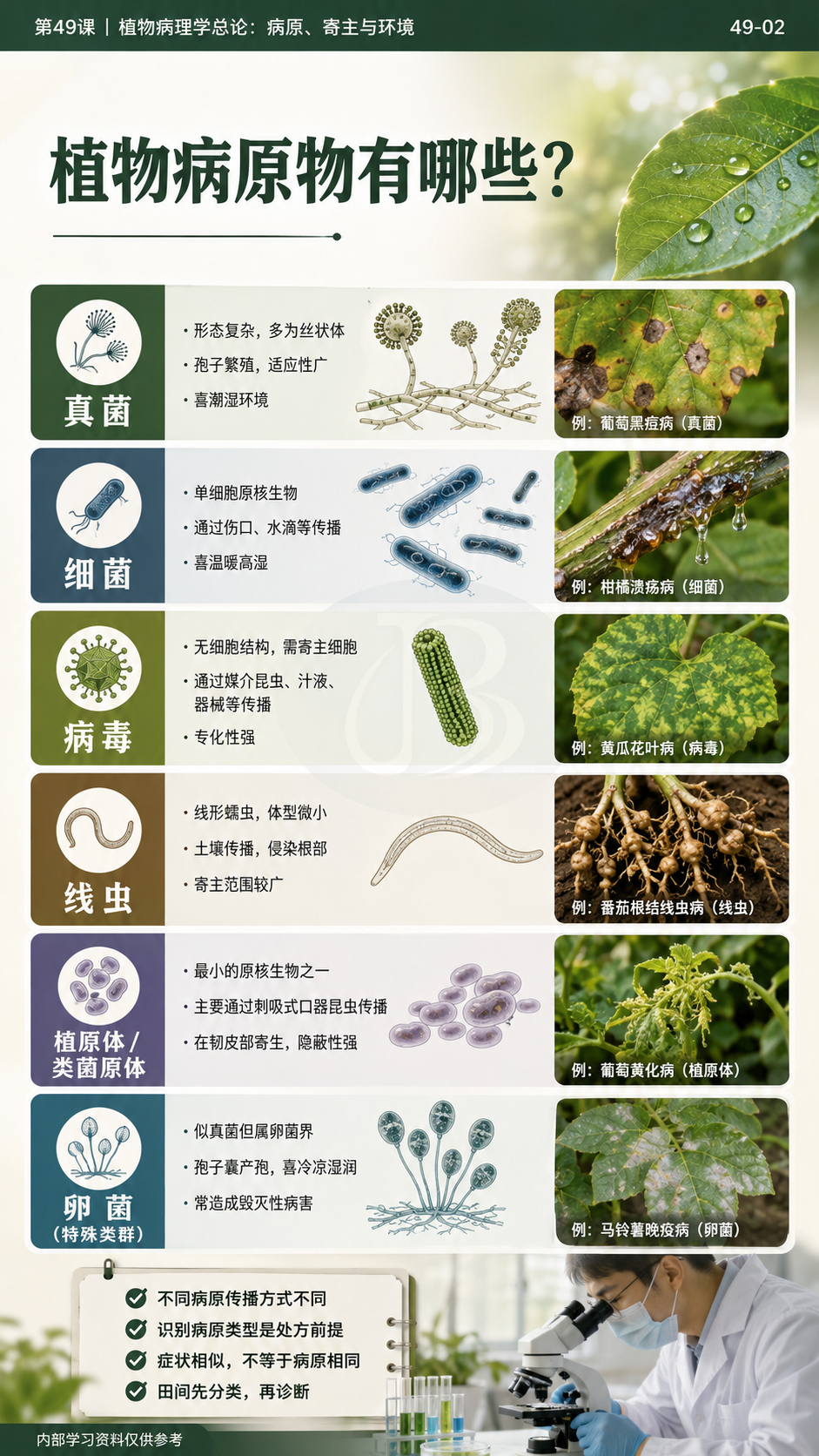 华昇金玛第49课植物病理学总论原图，图内49-02：植物病原物类群