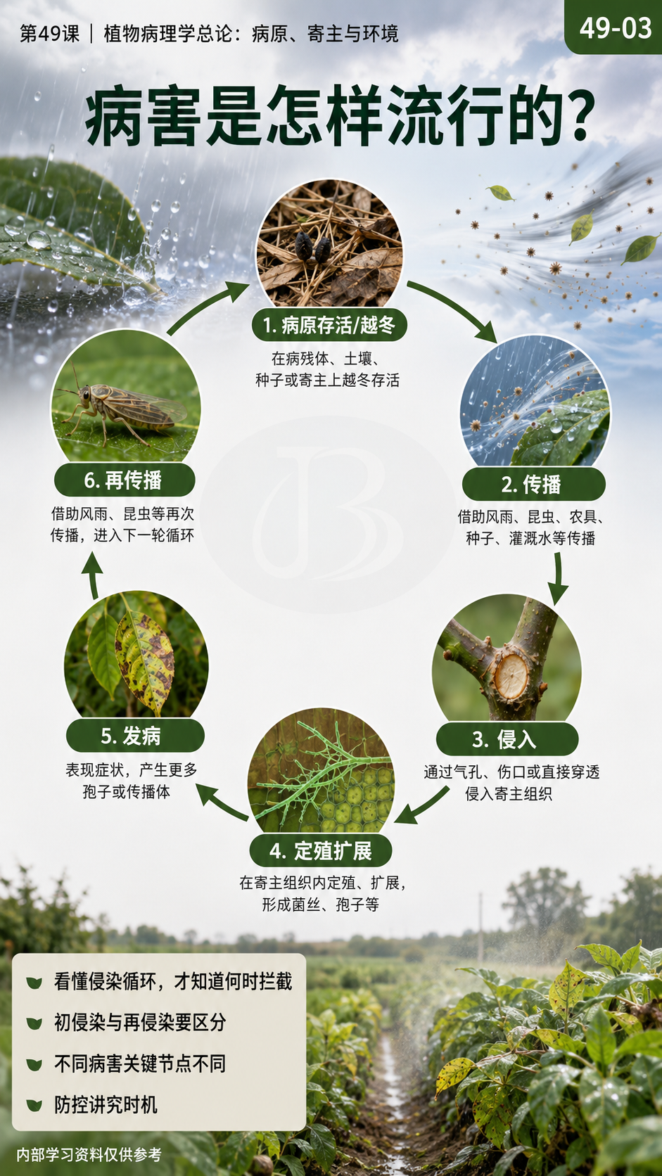 华昇金玛第49课植物病理学总论原图，图内49-03：病害发生与传播循环