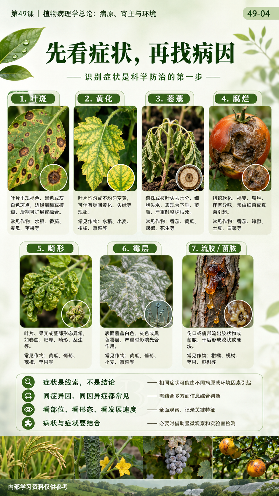 华昇金玛第49课植物病理学总论原图，图内49-04：症状观察与病因判断