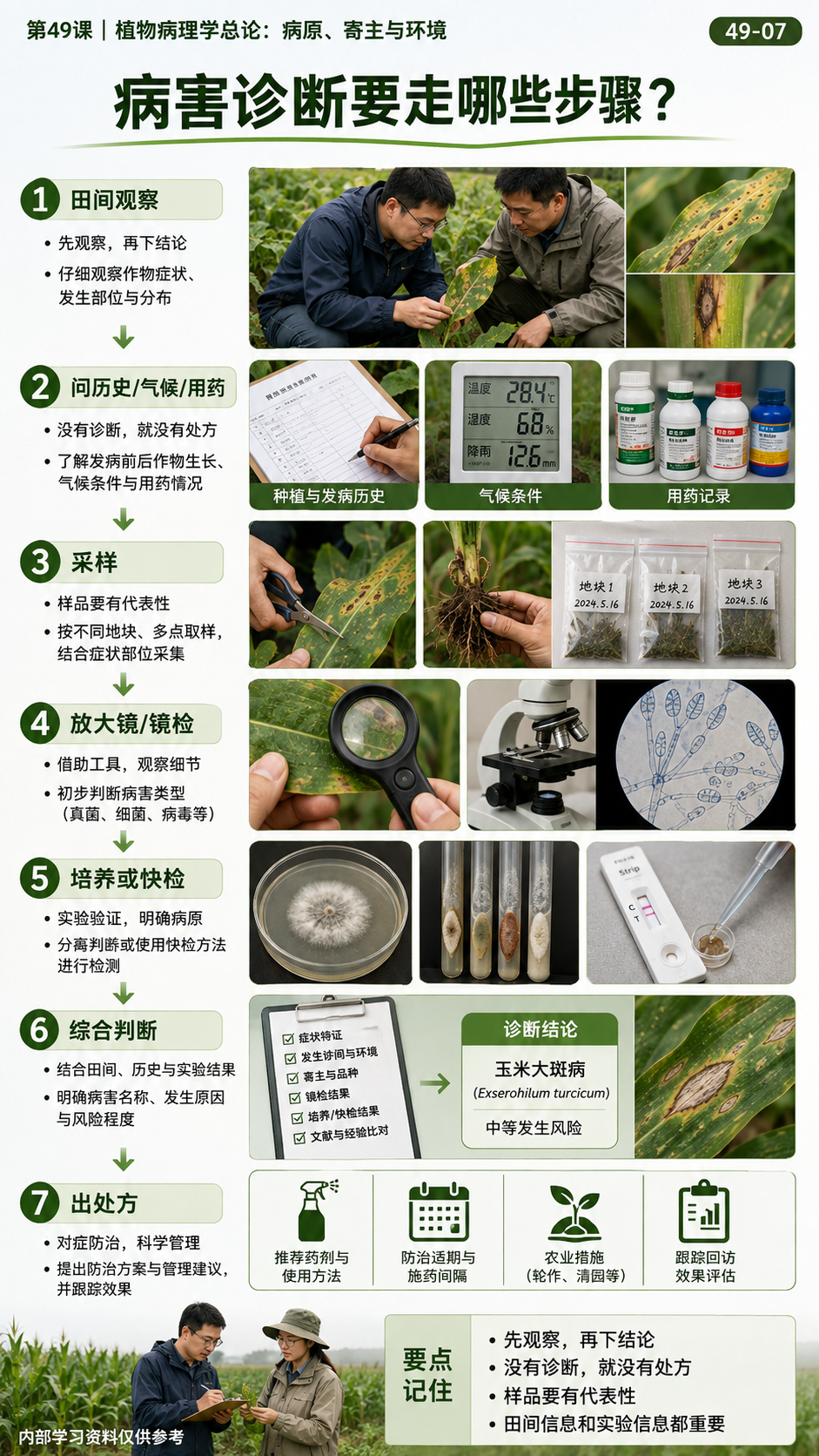 华昇金玛第49课植物病理学总论原图，图内49-07：田间病害诊断步骤