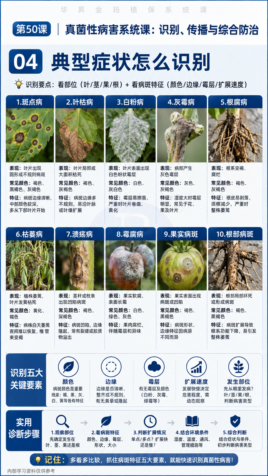 华昇金玛植保系统课第50课真菌病与卵菌病识别第4张原图