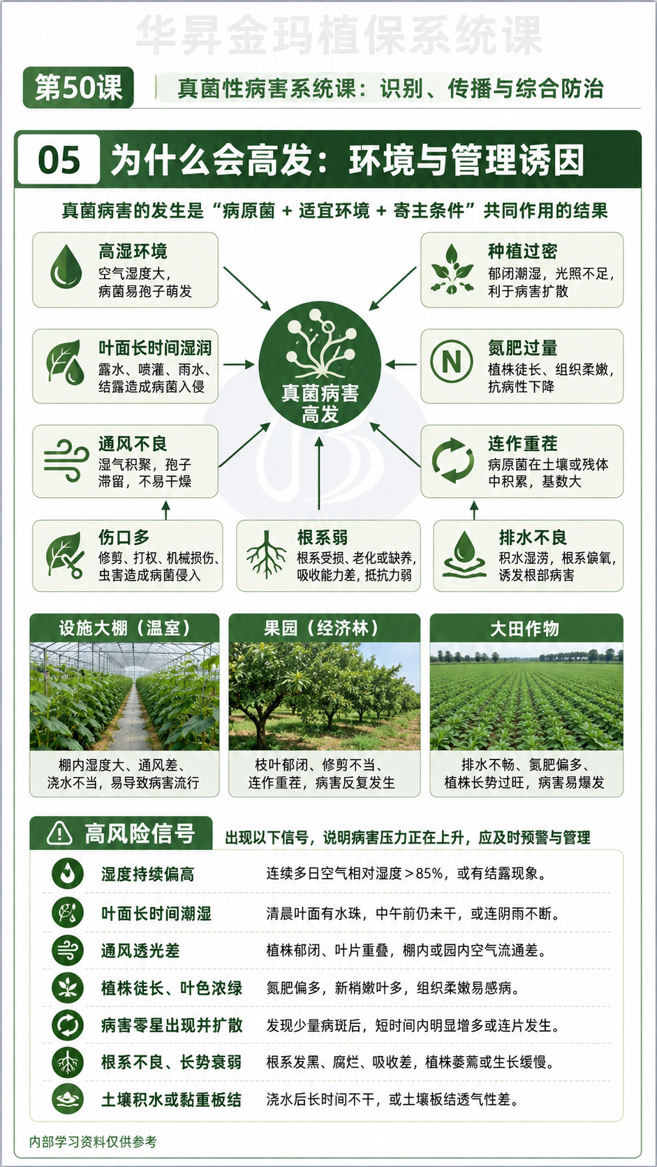 华昇金玛植保系统课第50课真菌病与卵菌病识别第5张原图
