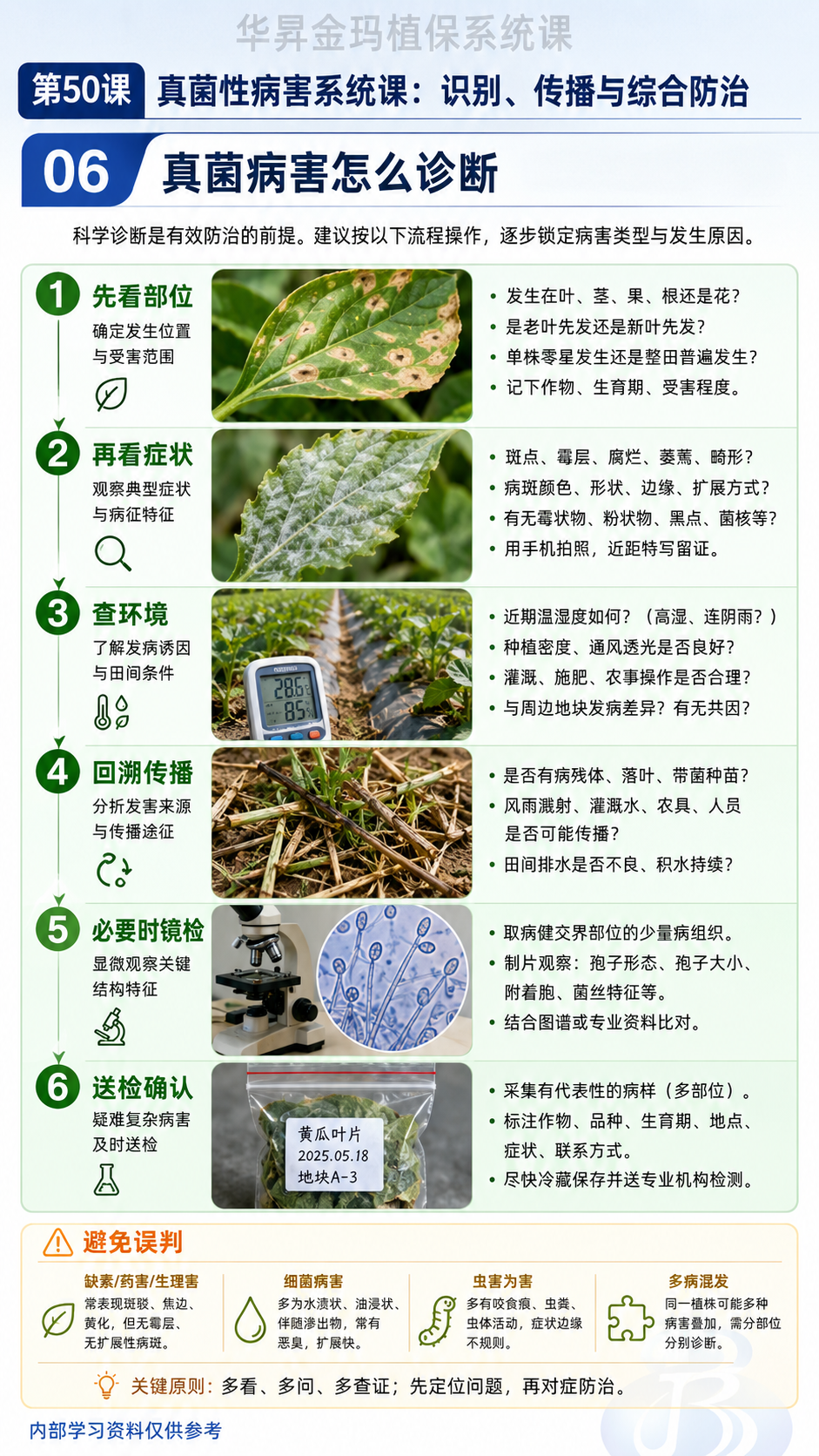 华昇金玛植保系统课第50课真菌病与卵菌病识别第6张原图
