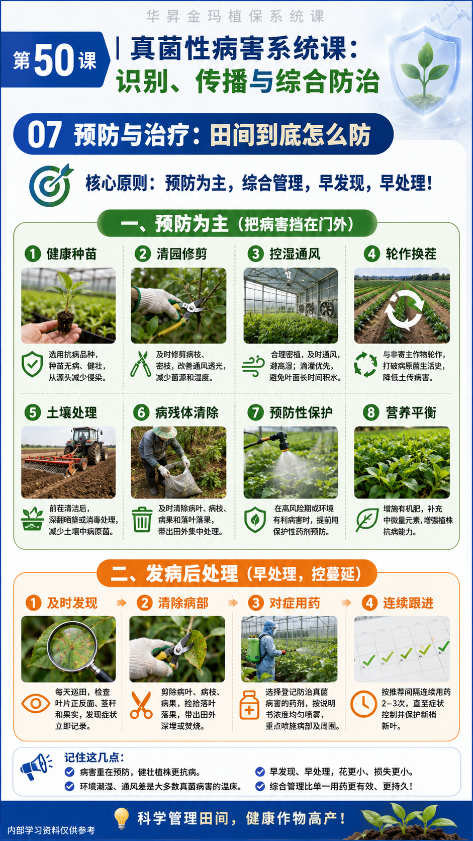 华昇金玛植保系统课第50课真菌病与卵菌病识别第7张原图