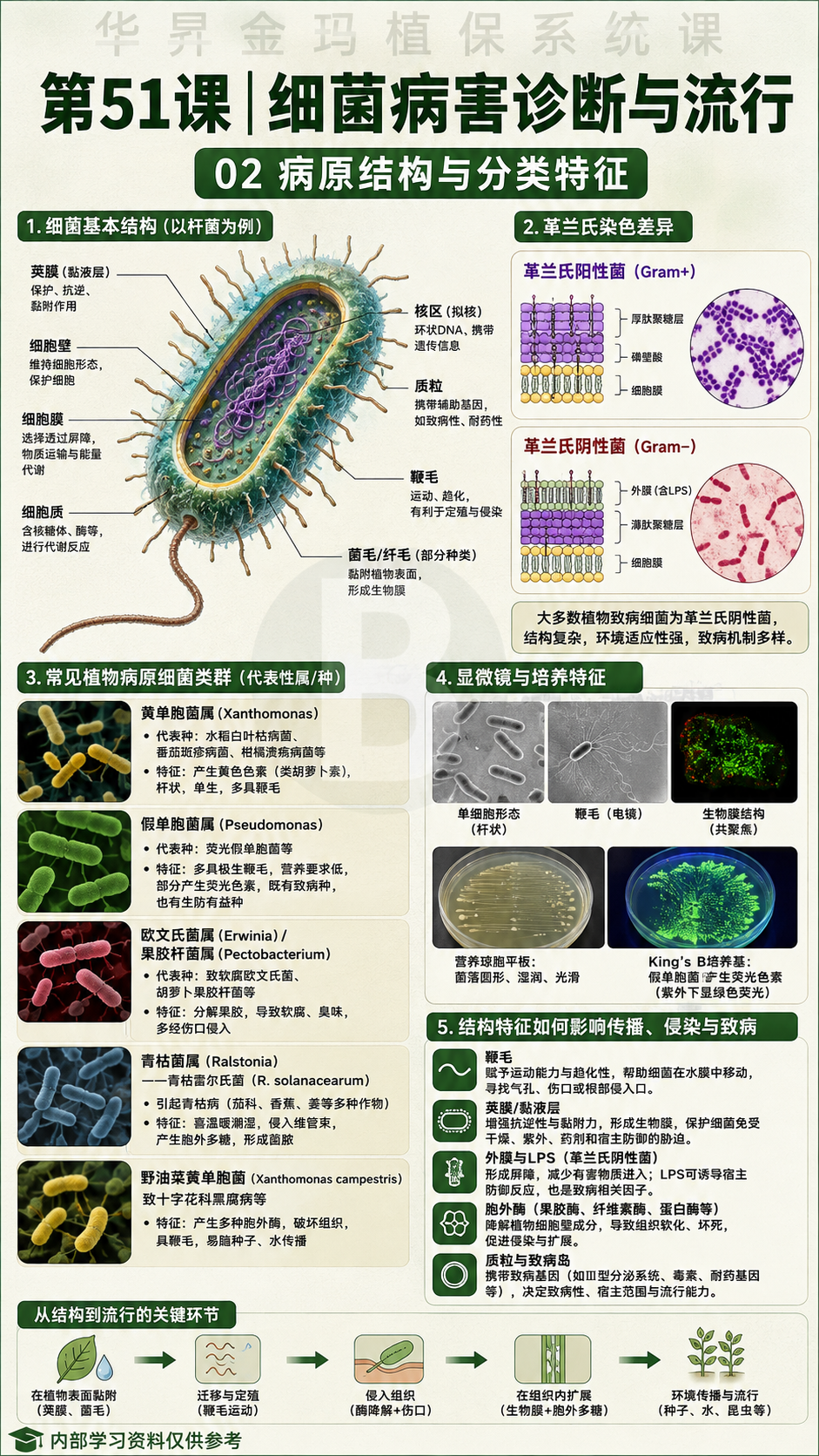 华昇金玛第51课细菌病害诊断与流行原图，第02页：病原结构与分类特征