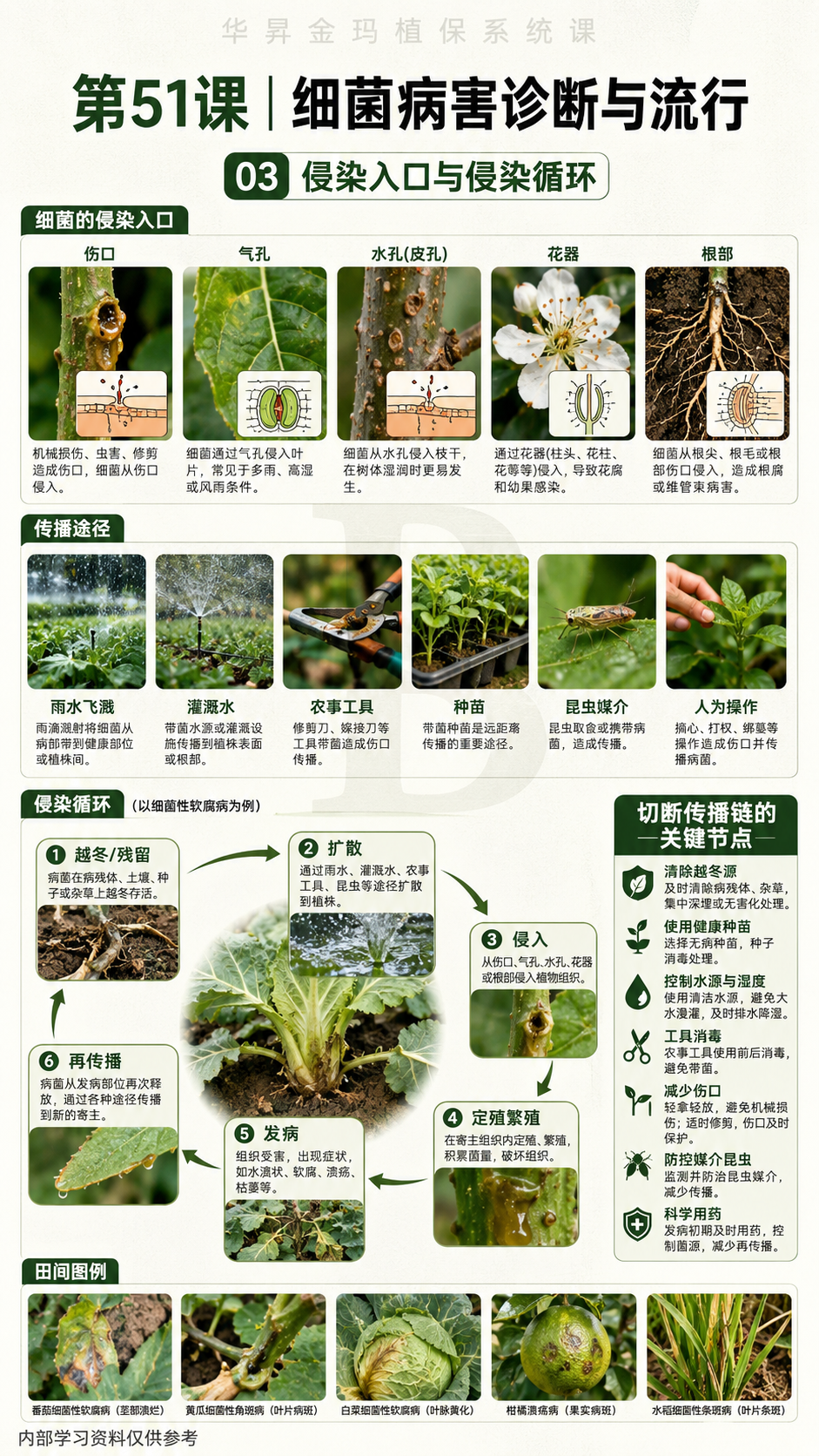华昇金玛第51课细菌病害诊断与流行原图，第03页：侵染入口与侵染循环
