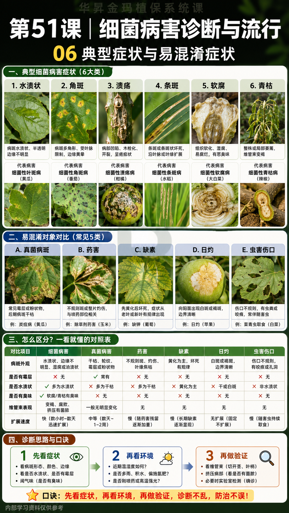 华昇金玛第51课细菌病害诊断与流行原图，第06页：典型症状与易混淆症状