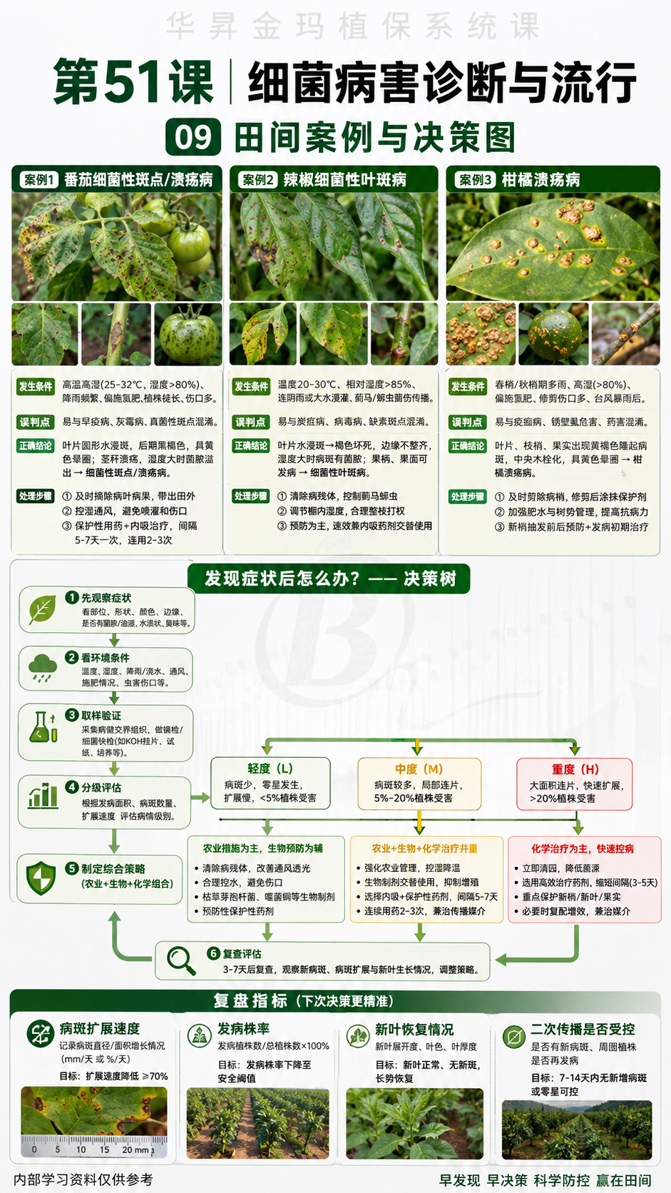 华昇金玛第51课细菌病害诊断与流行原图，第09页：田间案例与决策图