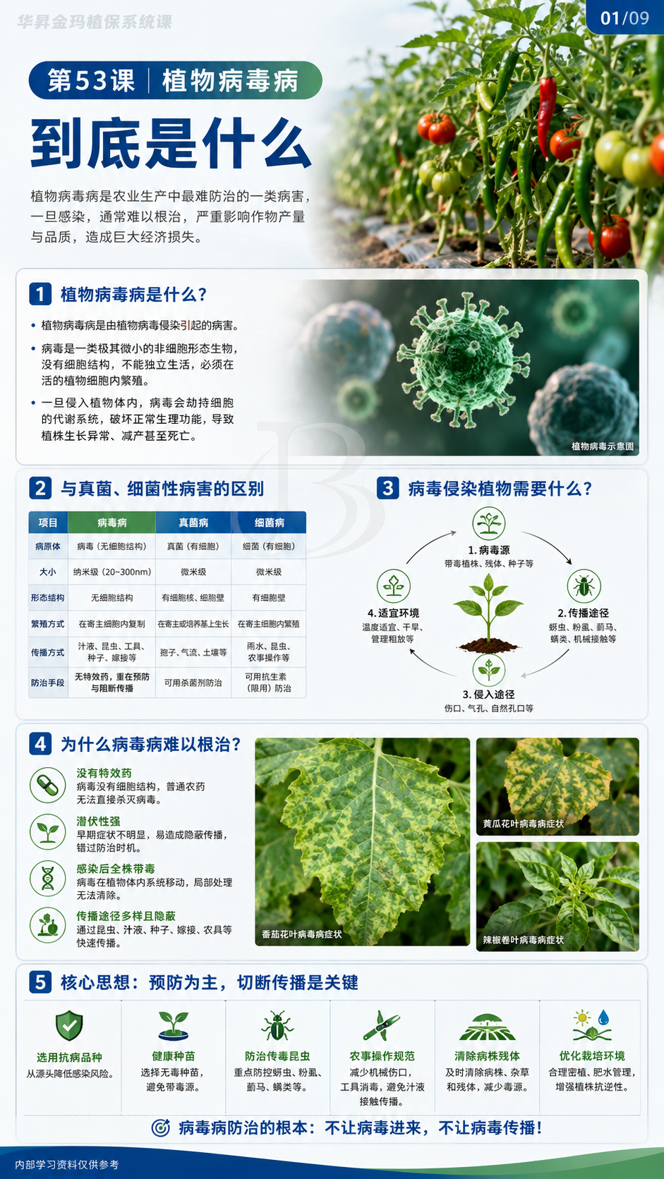 华昇金玛植保系统课第53课原课件图内第01/09页，原文件未改动
