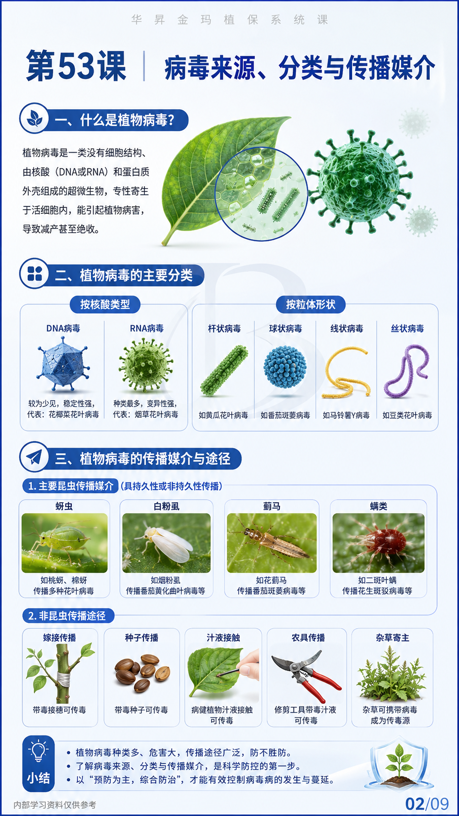 华昇金玛第53课植物病毒病原图，图内02/09页：病毒来源、分类与传播媒介