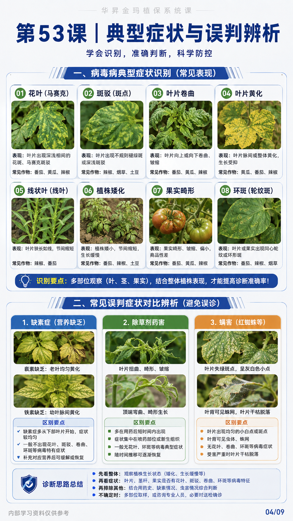 华昇金玛第53课植物病毒病原图，图内04/09页：典型症状与误判辨析