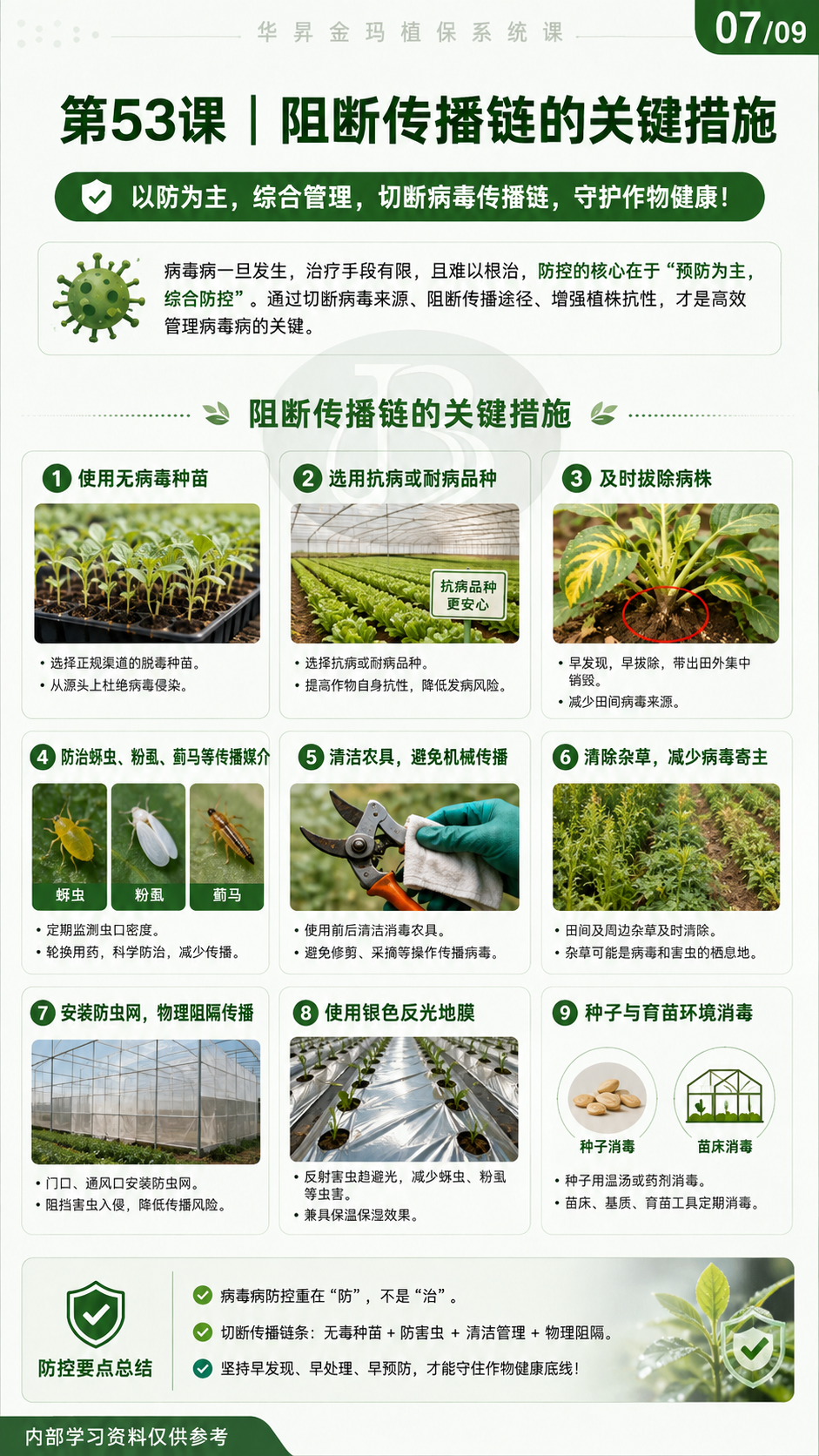 华昇金玛第53课植物病毒病原图，图内07/09页：阻断传播链的关键措施