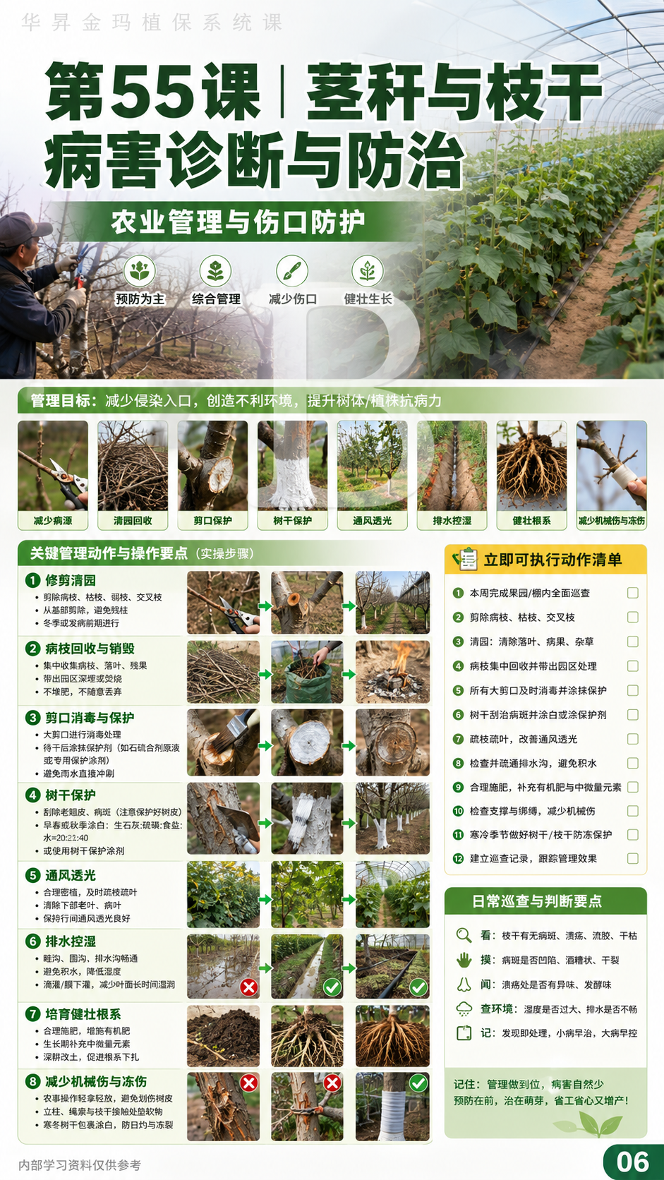 华昇金玛植保系统课第55课枝干与茎基部病害第3张原图