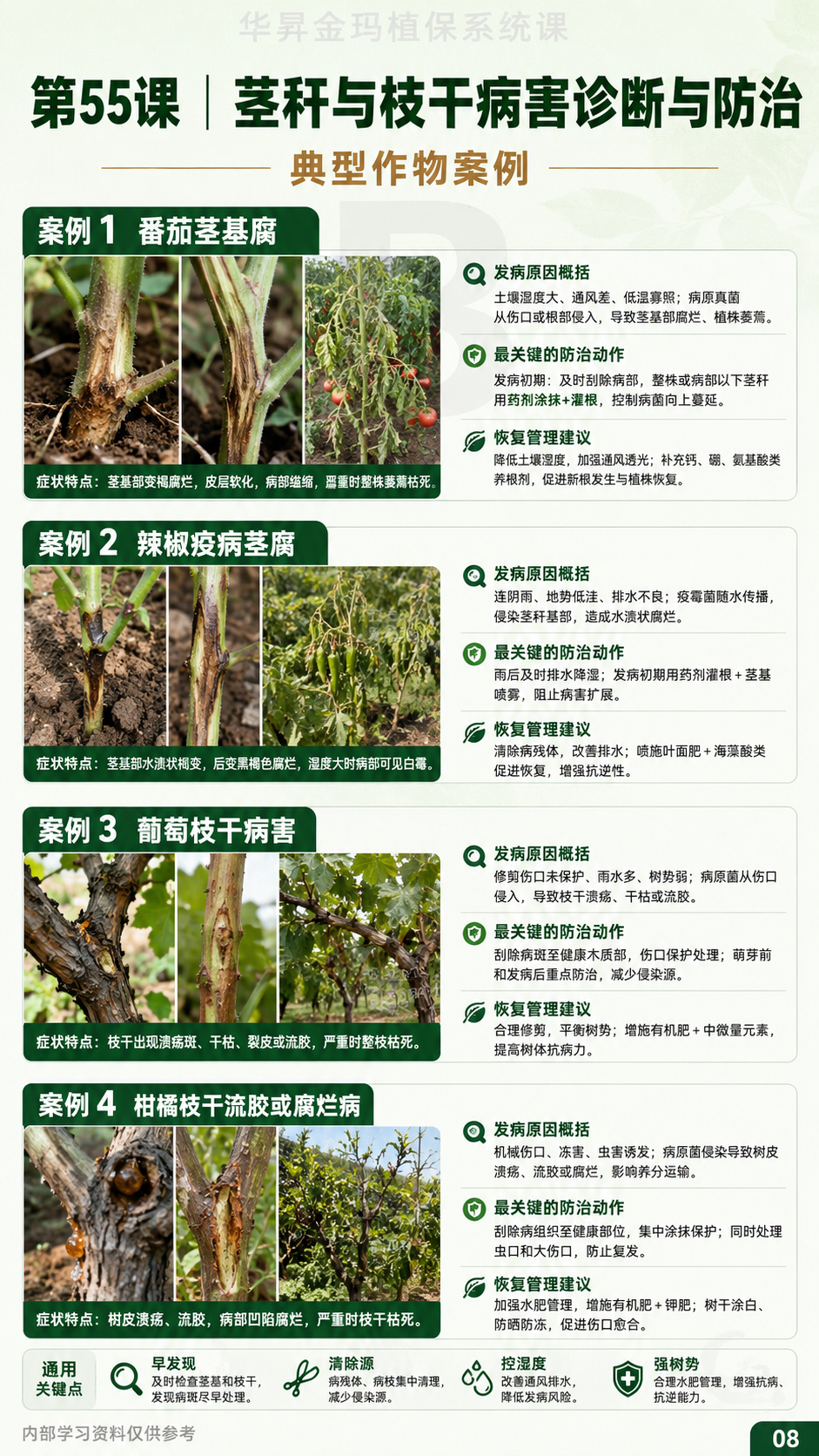 华昇金玛植保系统课第55课枝干与茎基部病害第6张原图