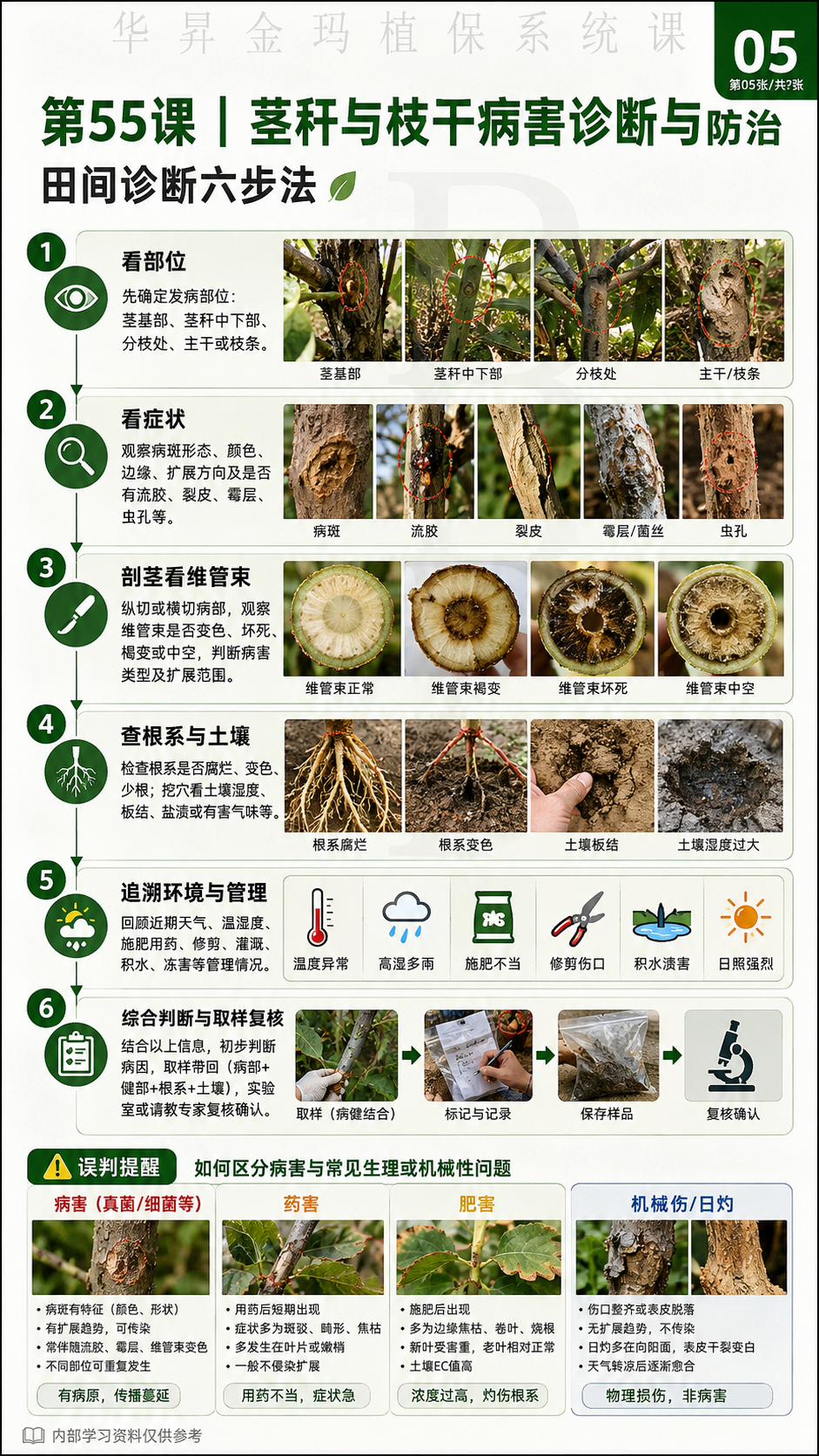 华昇金玛植保系统课第55课枝干与茎基部病害第7张原图