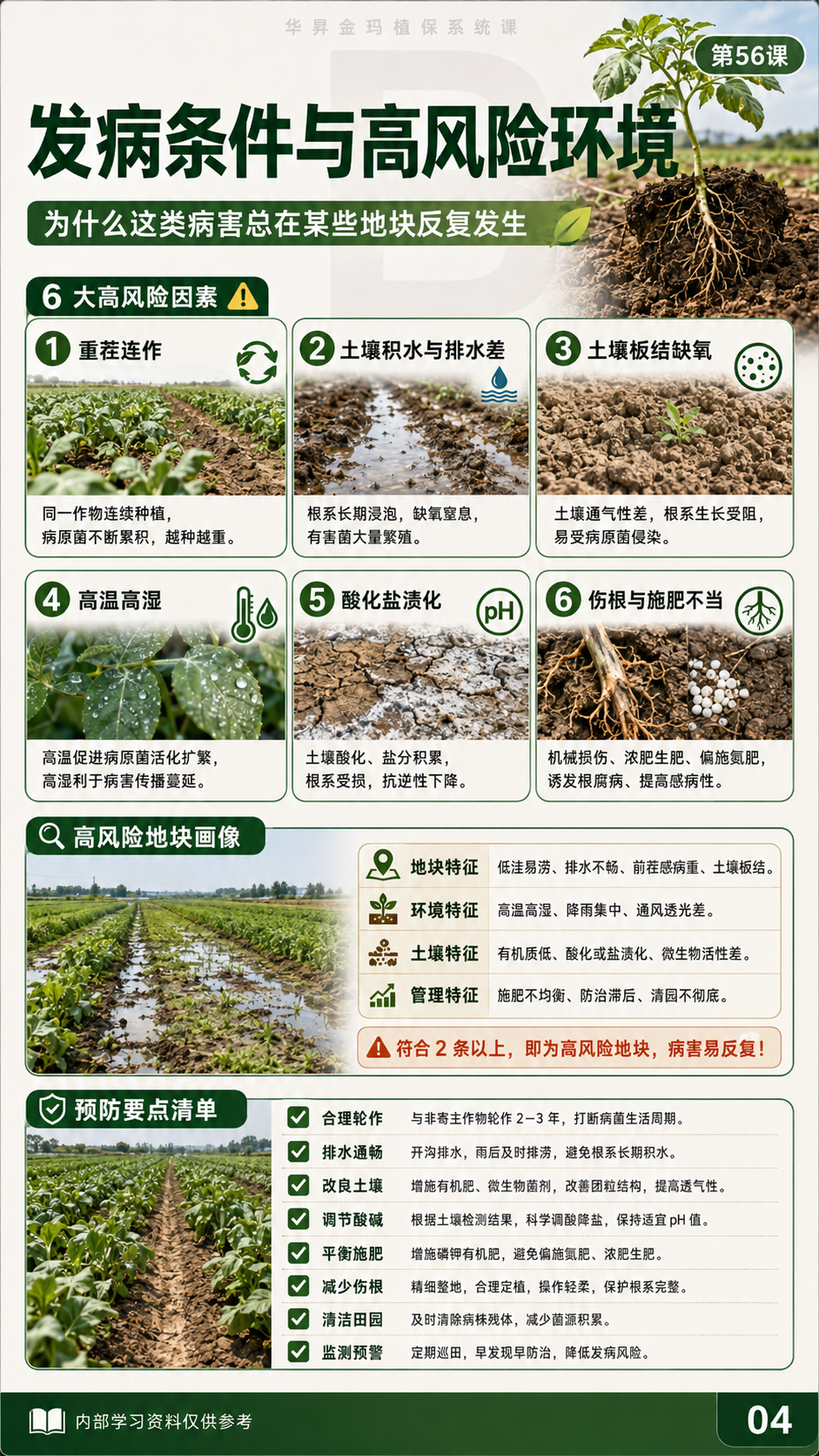 华昇金玛植保系统课第56课萎蔫与维管束病害第5张原图
