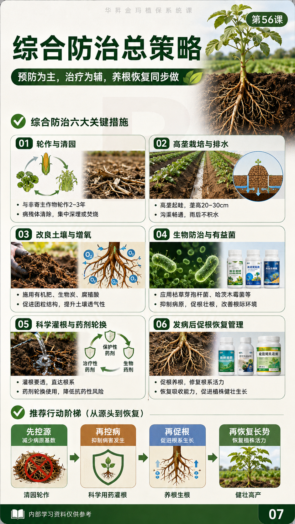 华昇金玛植保系统课第56课萎蔫与维管束病害第7张原图