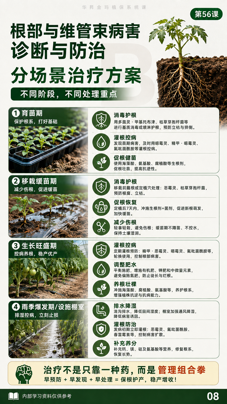 华昇金玛植保系统课第56课萎蔫与维管束病害第9张原图