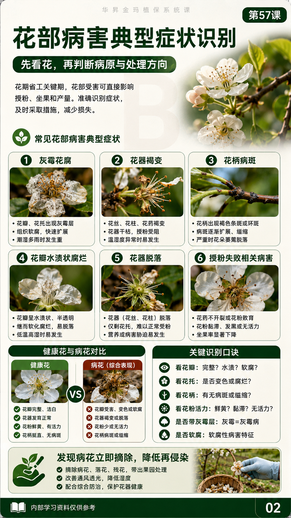 华昇金玛植保系统课第57课花果期病害第2张原图