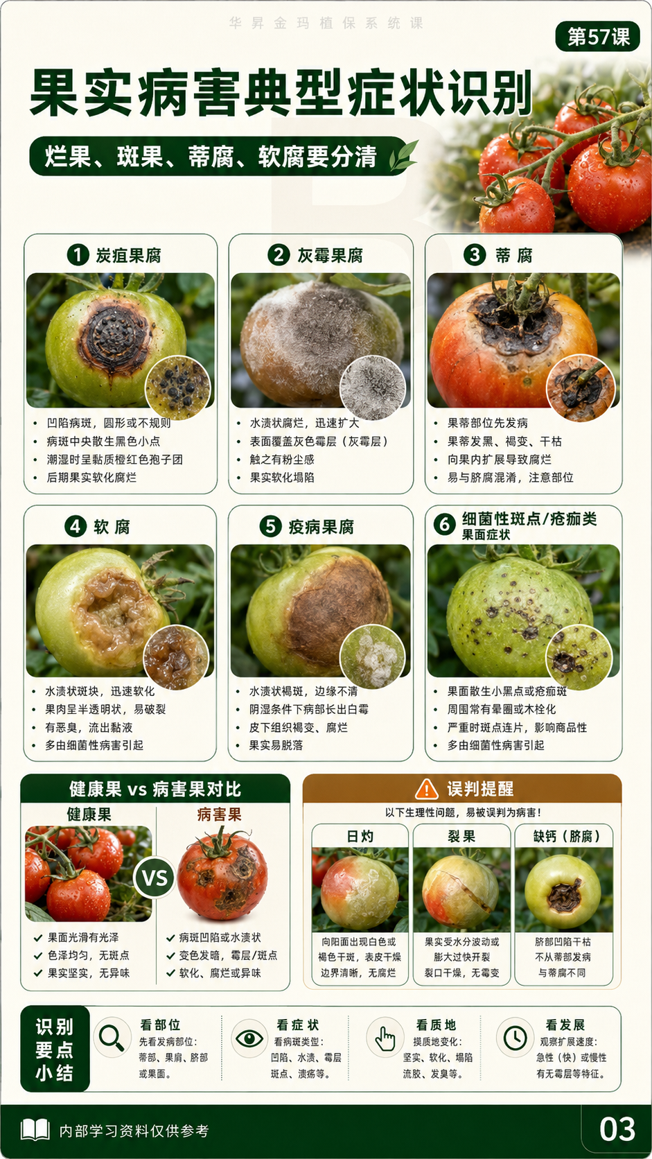 华昇金玛植保系统课第57课花果期病害第3张原图
