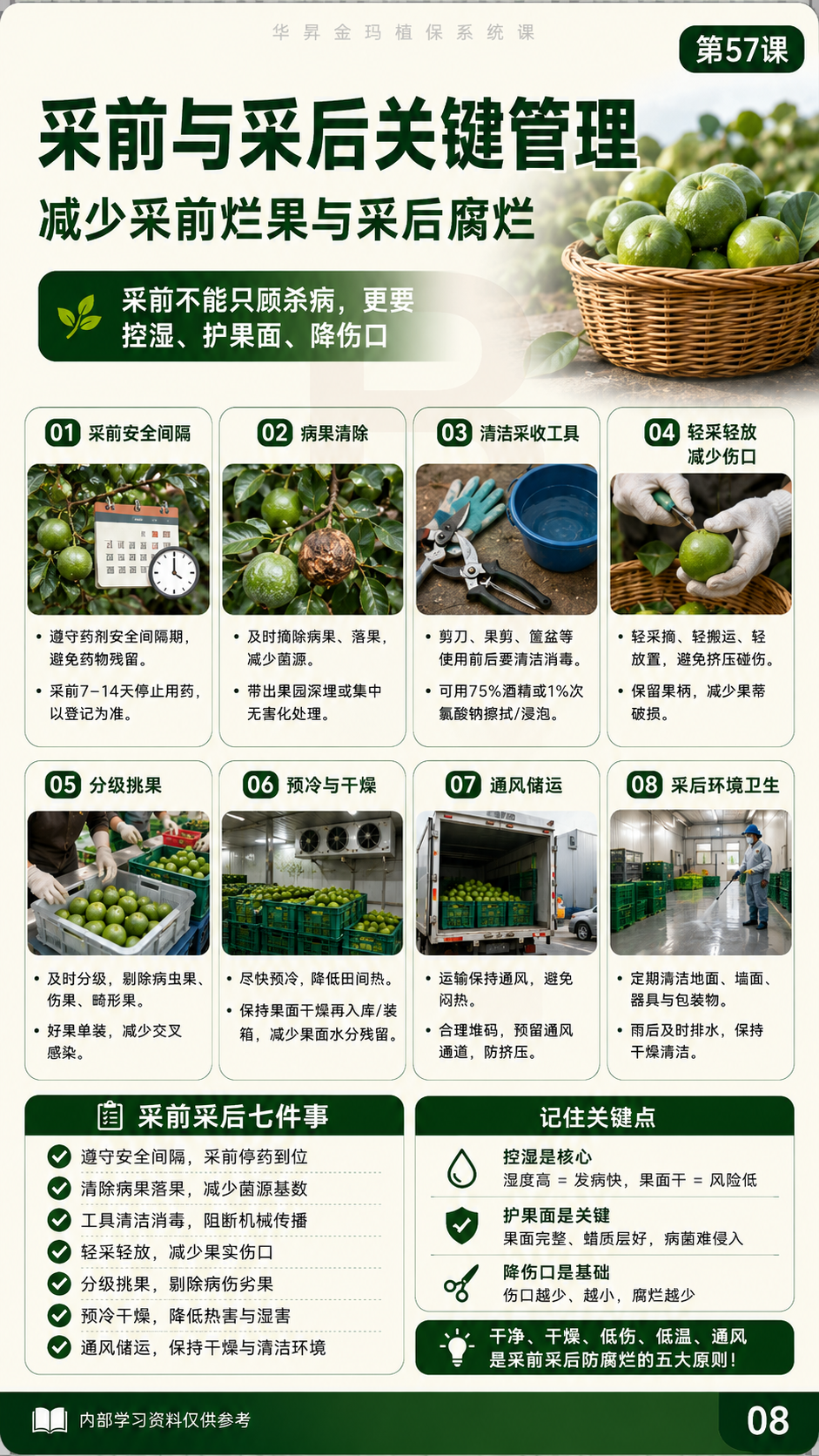 华昇金玛植保系统课第57课花果期病害第8张原图