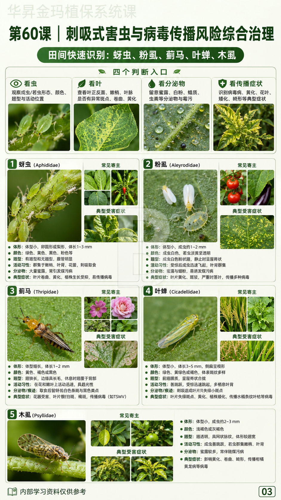 华昇金玛植保系统课第60课刺吸式害虫与病原传播第3张原图