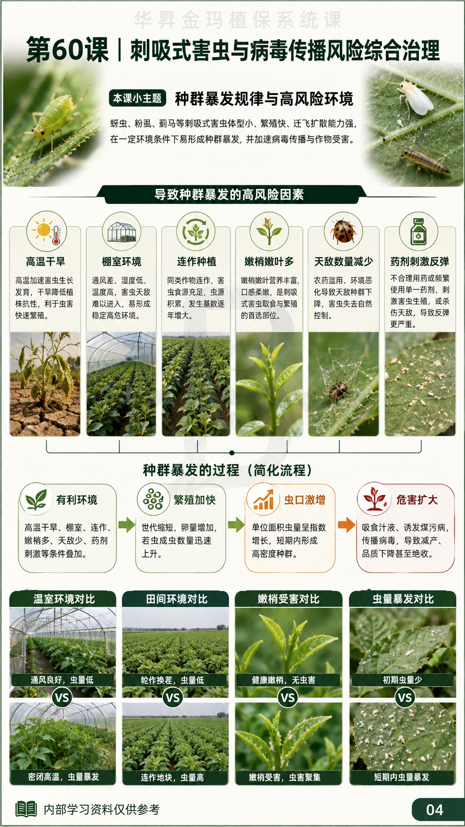 华昇金玛植保系统课第60课刺吸式害虫与病原传播第4张原图