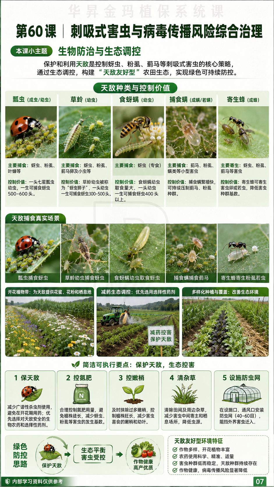 华昇金玛植保系统课第60课刺吸式害虫与病原传播第7张原图