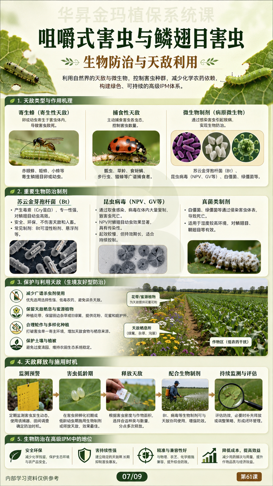 华昇金玛植保系统课第61课咀嚼式害虫第7张原图