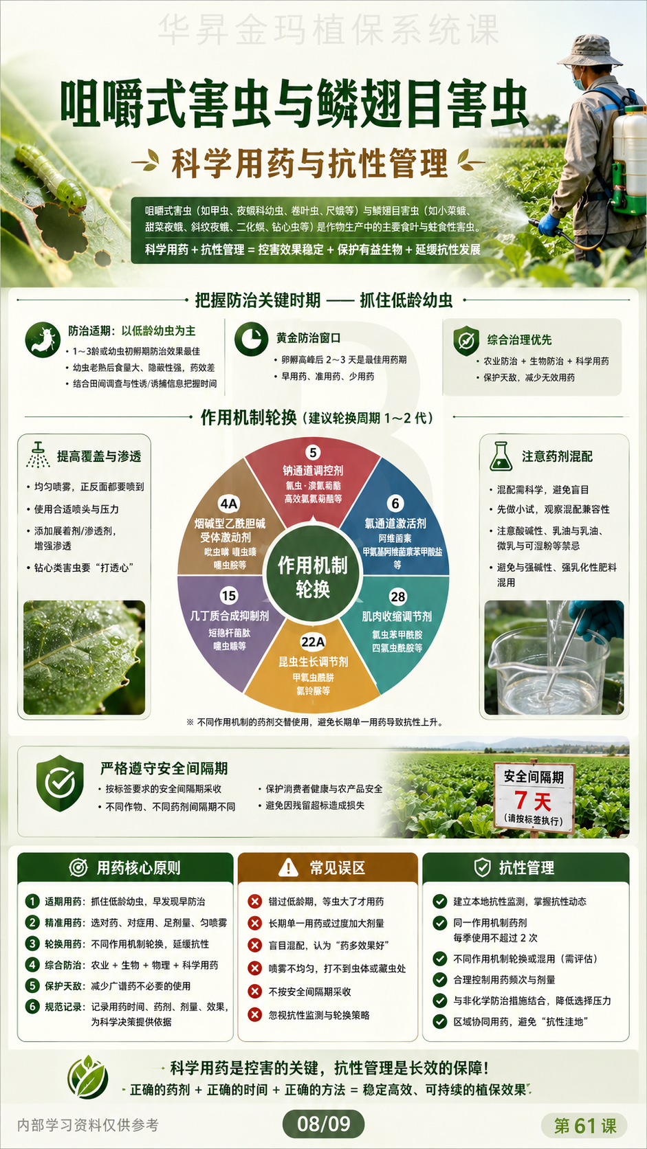 华昇金玛植保系统课第61课咀嚼式害虫第8张原图
