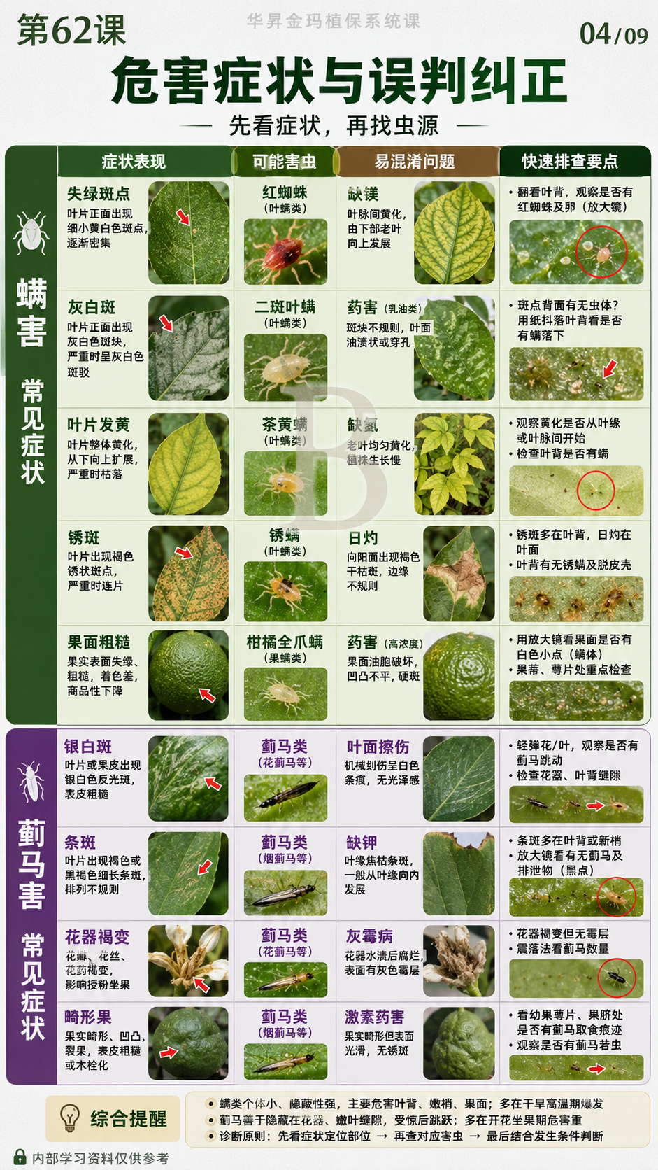 华昇金玛植保系统课第62课螨类与蓟马调查第4张原图